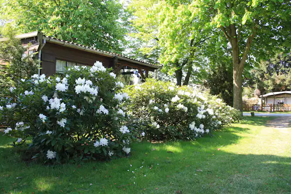 Camping Waßmann