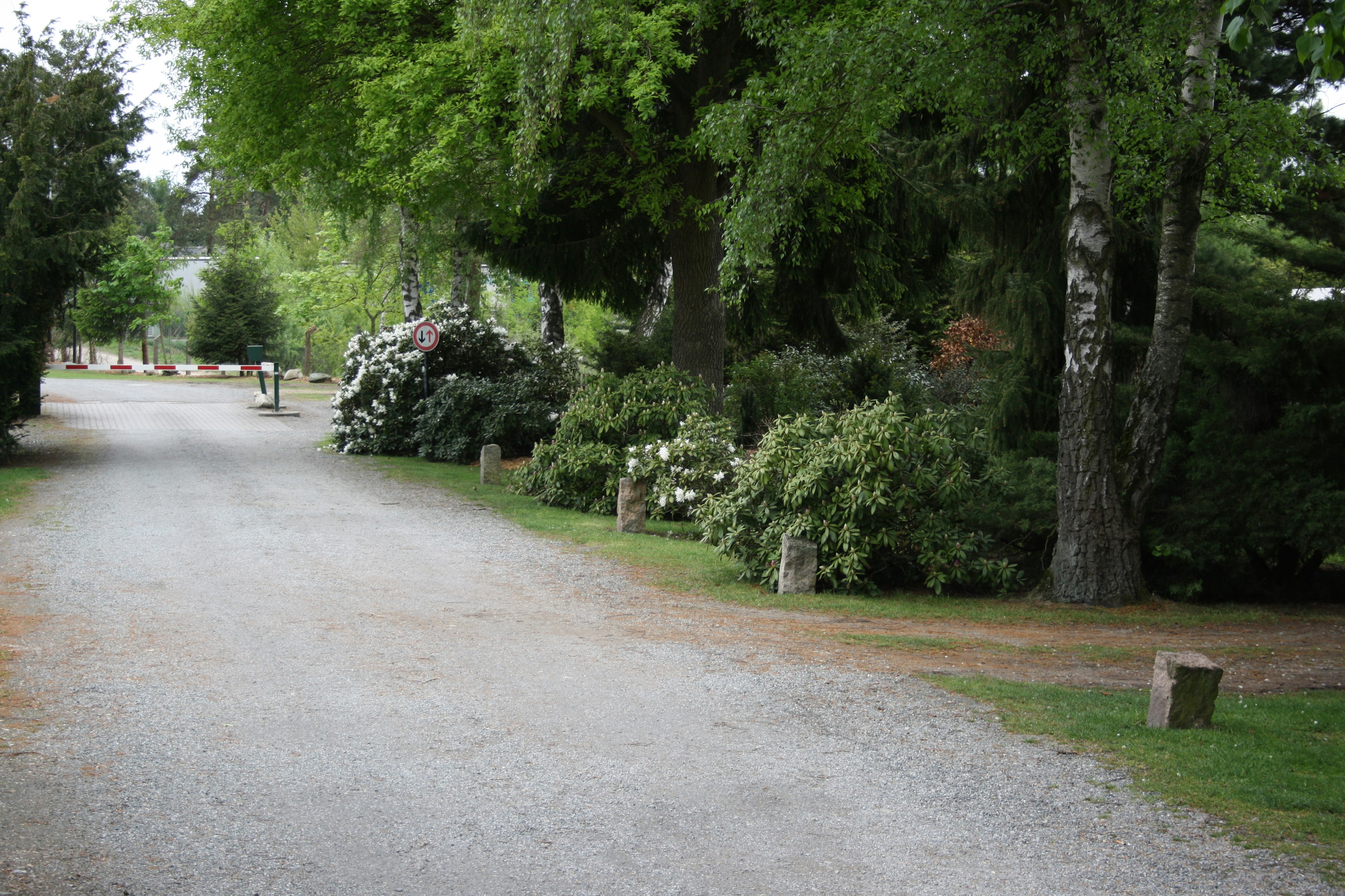 Camping Waßmann  Campingplatz Waßmann - Einfahrt des Campingplatzes