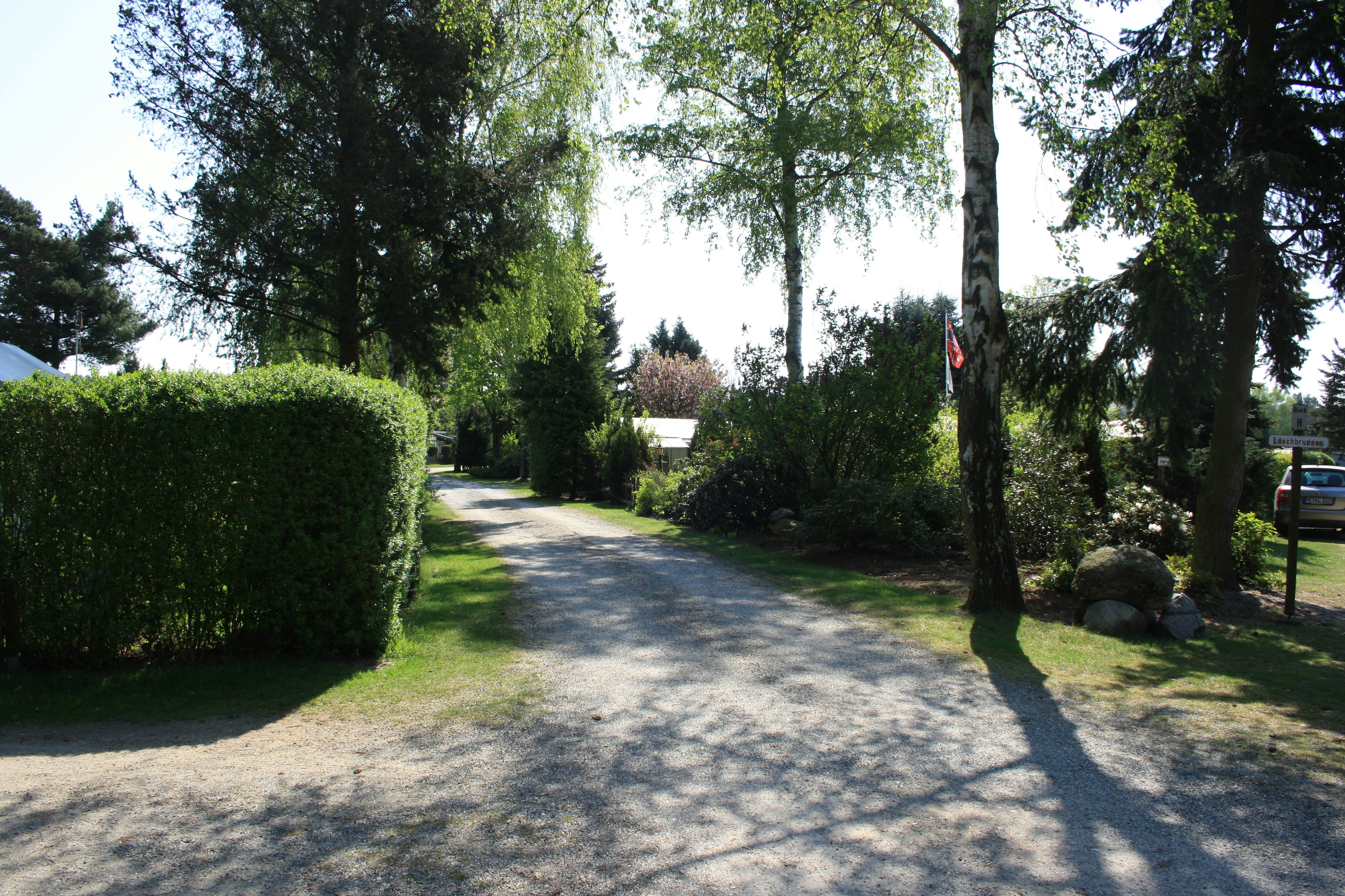 Camping Waßmann  Campingplatz Waßmann - Standplätze auf dem Campingplatz