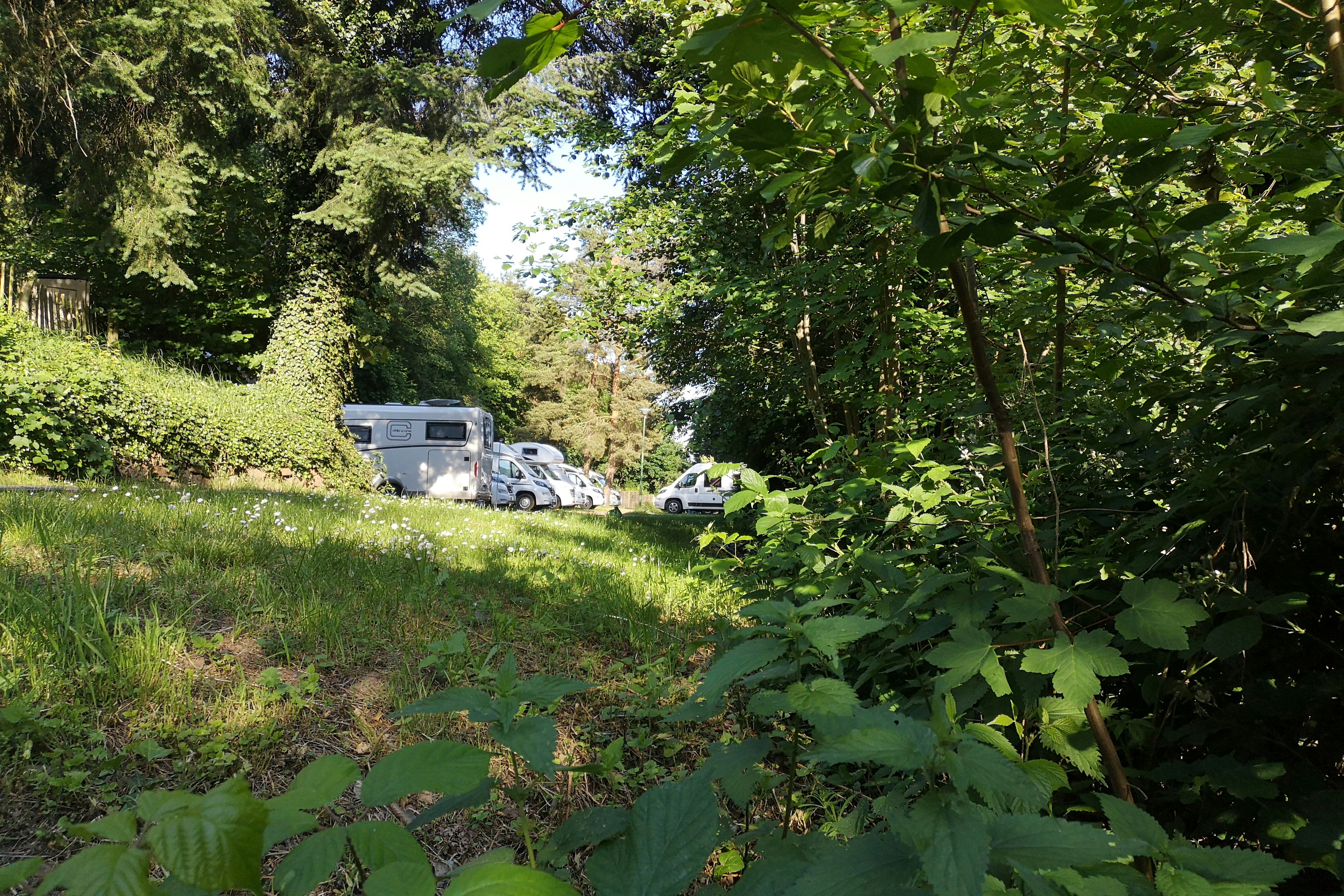 Campingwiese mit geparkten Autos und Wohnwagen, im Hintergrund Bäume und ein Weg zwischen dem Grün.