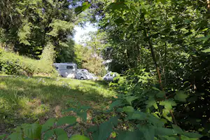 Campingwiese mit geparkten Autos und Wohnwagen, im Hintergrund Bäume und ein Weg zwischen dem Grün.