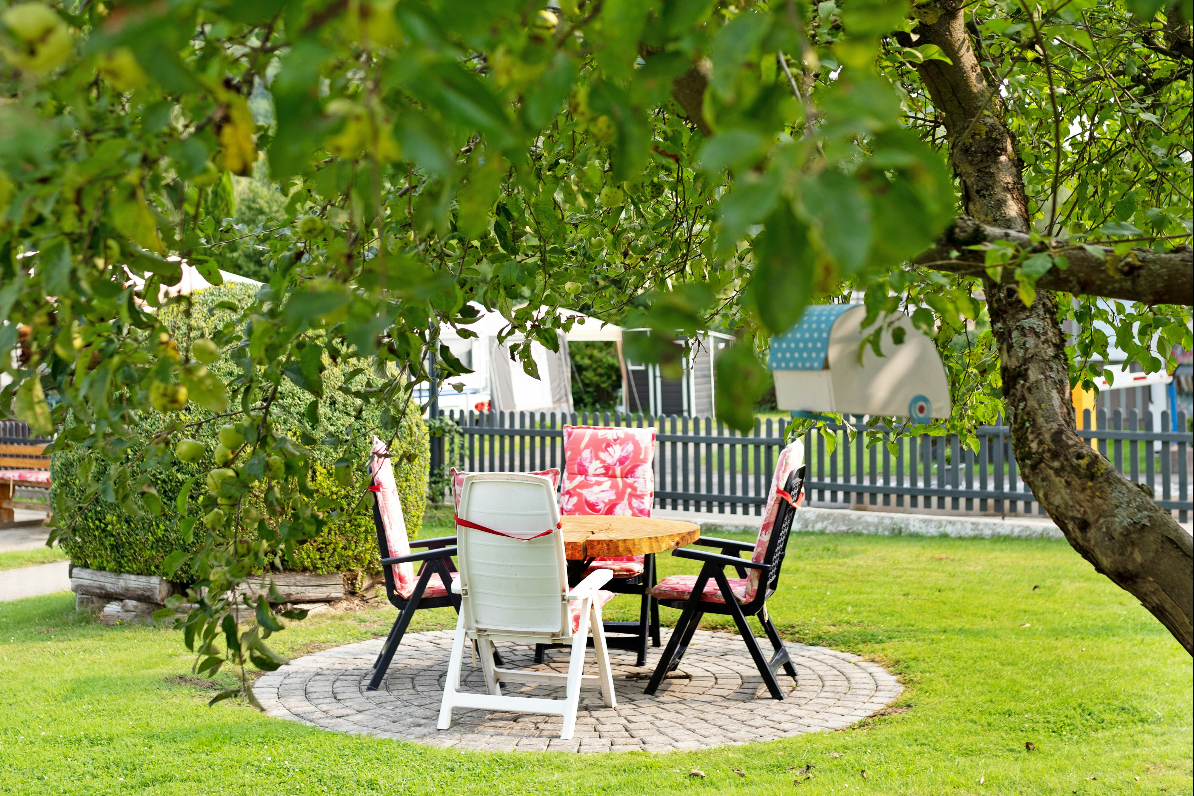 Campingplatz Werratal  - Kleiner Garten vor der Rezeption