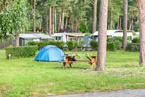 Campingplatz Wusterhausen - Zeltwiese auf dem Campingplatz