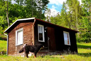Holzhütte auf dem Campingplatz mit Hund vor der Veranda, umgeben von Rasen und Bäumen im Hintergrund.
