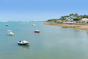 Boote im Hafen vor dem Ufer, mehrere Segel- und Motorboote liegen im ruhigen Wasser.