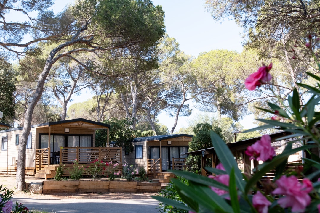 Campéole Le Dramont - Mehrere Campinghütten mit Wegen und hohen Bäumen 