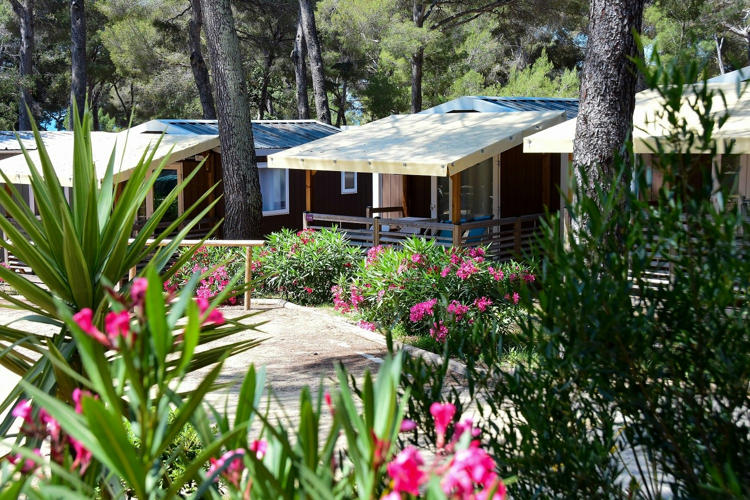Yelloh! Village Plage du Dramont   Campéole Le Dramont - Mobilheime mit Terrasse auf dem Campingplatz