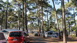 Camping Club Plage Sud - MS Vacances