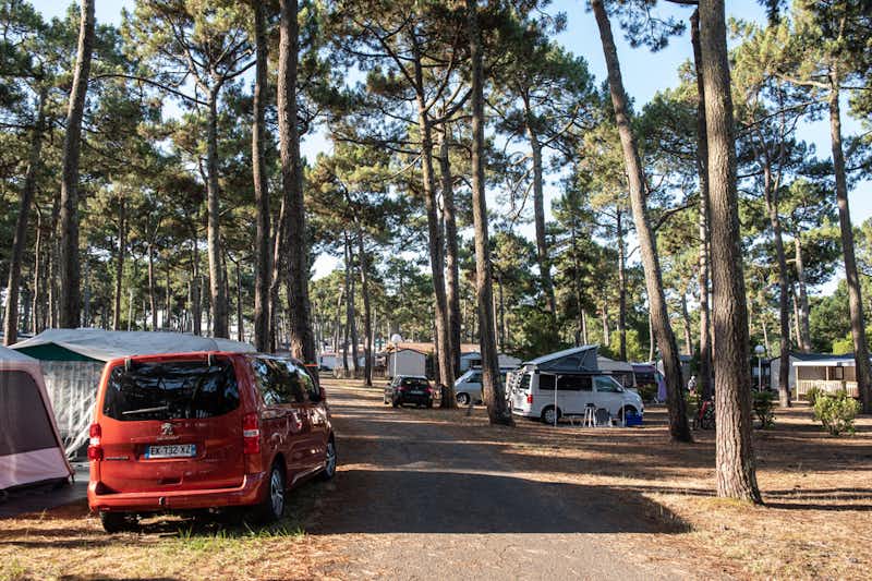 Camping Campéole Plage Sud - Standplätze auf dem Campingplatz
