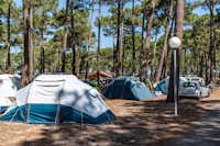 Camping Campéole Plage Sud - Zeltplätze zwischen den Bäumen