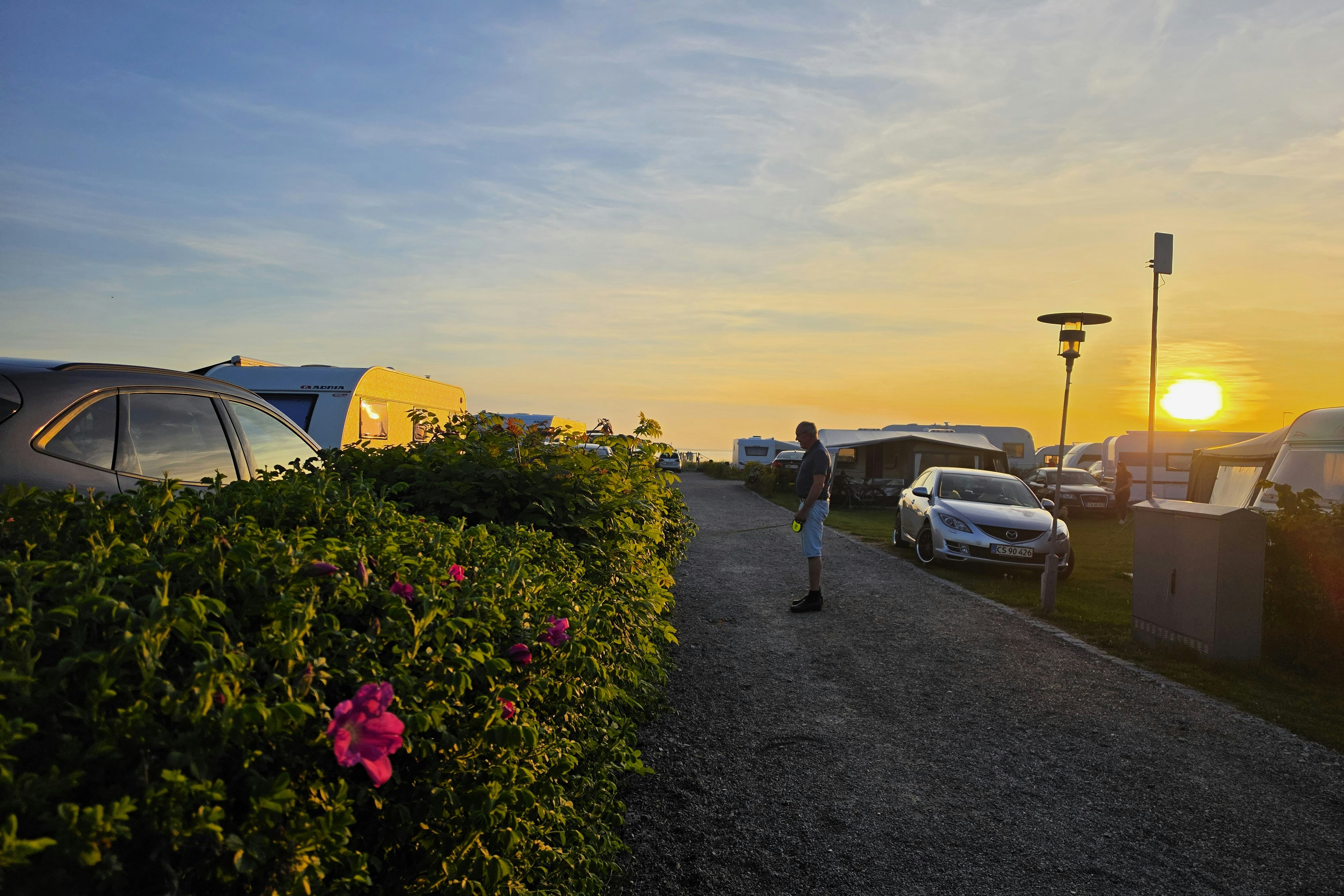 Campingplatz am Abend: Zelte und Wohnwagen stehen am Weg, im Hintergrund Autos und eine Person vor dem Sonnenuntergang.