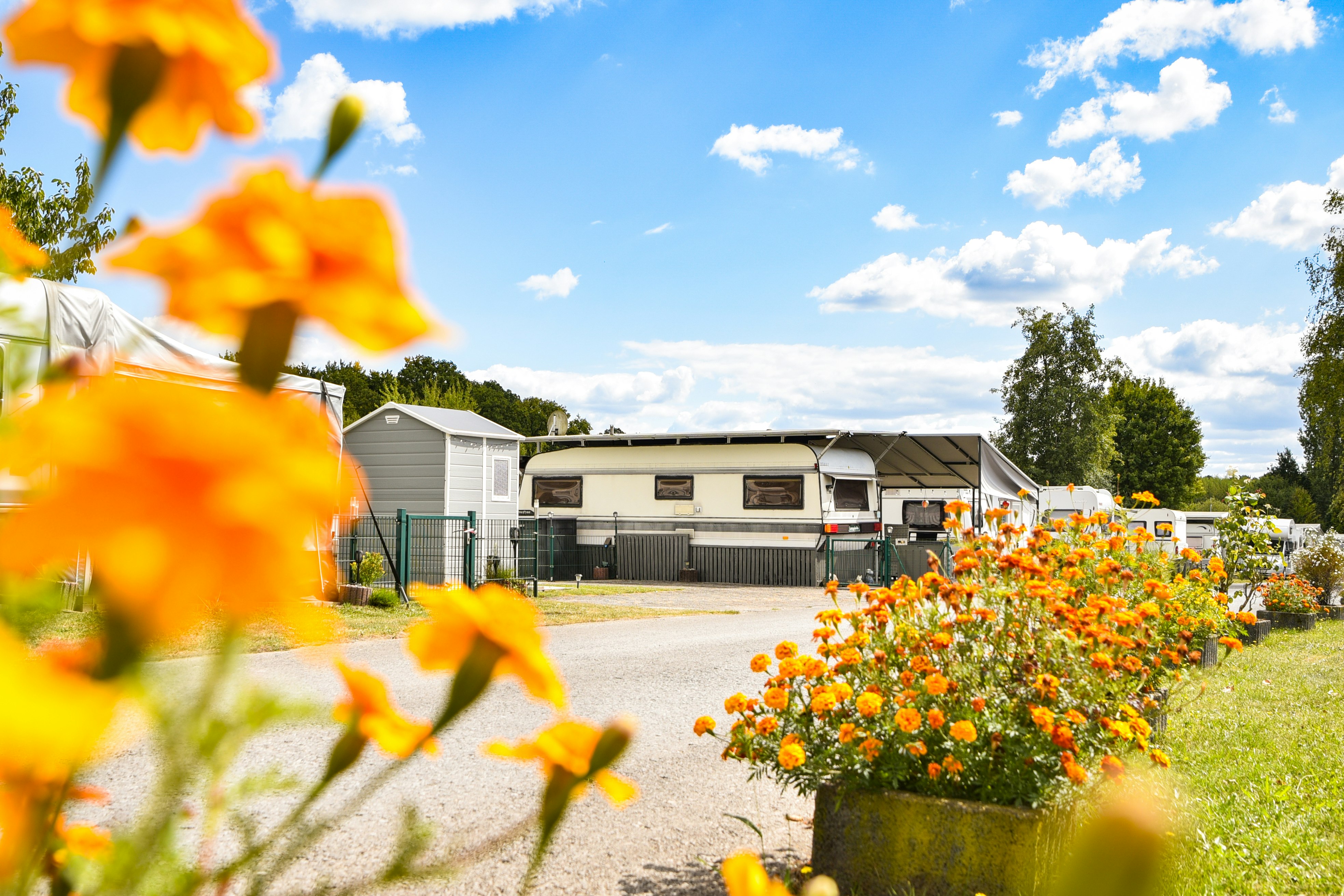 Blumenbeet mit orangefarbenen Blüten vor einem Campingplatz mit Wohnwagen und Wohnmobilen, Hecken und Wegen im Hintergrund.