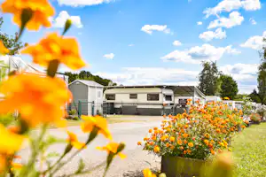 Blumenbeet mit orangefarbenen Blüten vor einem Campingplatz mit Wohnwagen und Wohnmobilen, Hecken und Wegen im Hintergrund.