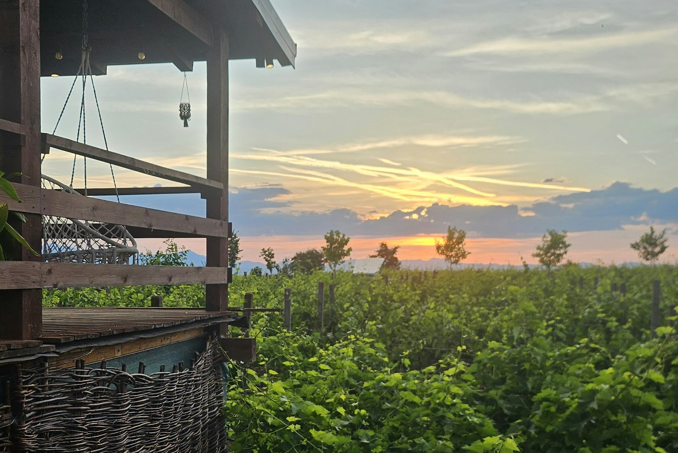 Blick von einer Camping-Terrasse mit Holzgeländer auf einen Gartenzaun und grünes Buschwerk bei Sonnenuntergang.