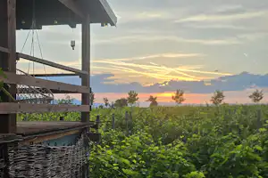 Blick von einer Camping-Terrasse mit Holzgeländer auf einen Gartenzaun und grünes Buschwerk bei Sonnenuntergang.