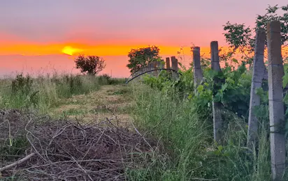 Campsite Kantina Mani