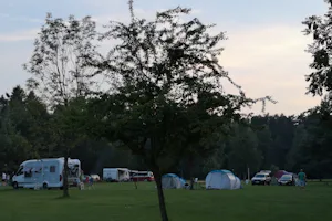 Campus Domasławice - Stellplatzwiese mit gepflanzten Bäumen