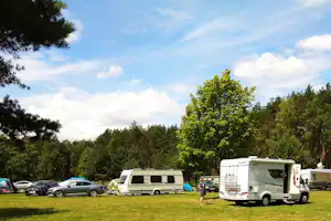 Campus Domasławice - Wohnmobile und Wohnwagen auf dem Stellplatz vor dem Wald