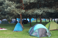 Campus Domasławice - Zeltwiese mit aufgestellten Zelten zwischen Bäumen