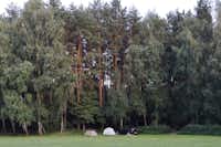 Campus Domasławice - zwei Zelte vor dem Wald