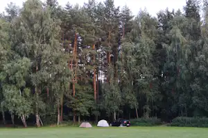 Zelt und Auto auf einer Wiese am Campingplatz, umgeben von hohen Bäumen im Wald.