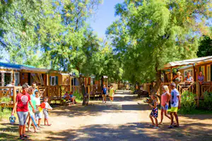 Familien gehen auf einem Campingweg zwischen Bäumen, mit Holzchalets und Veranden entlang der Straße.