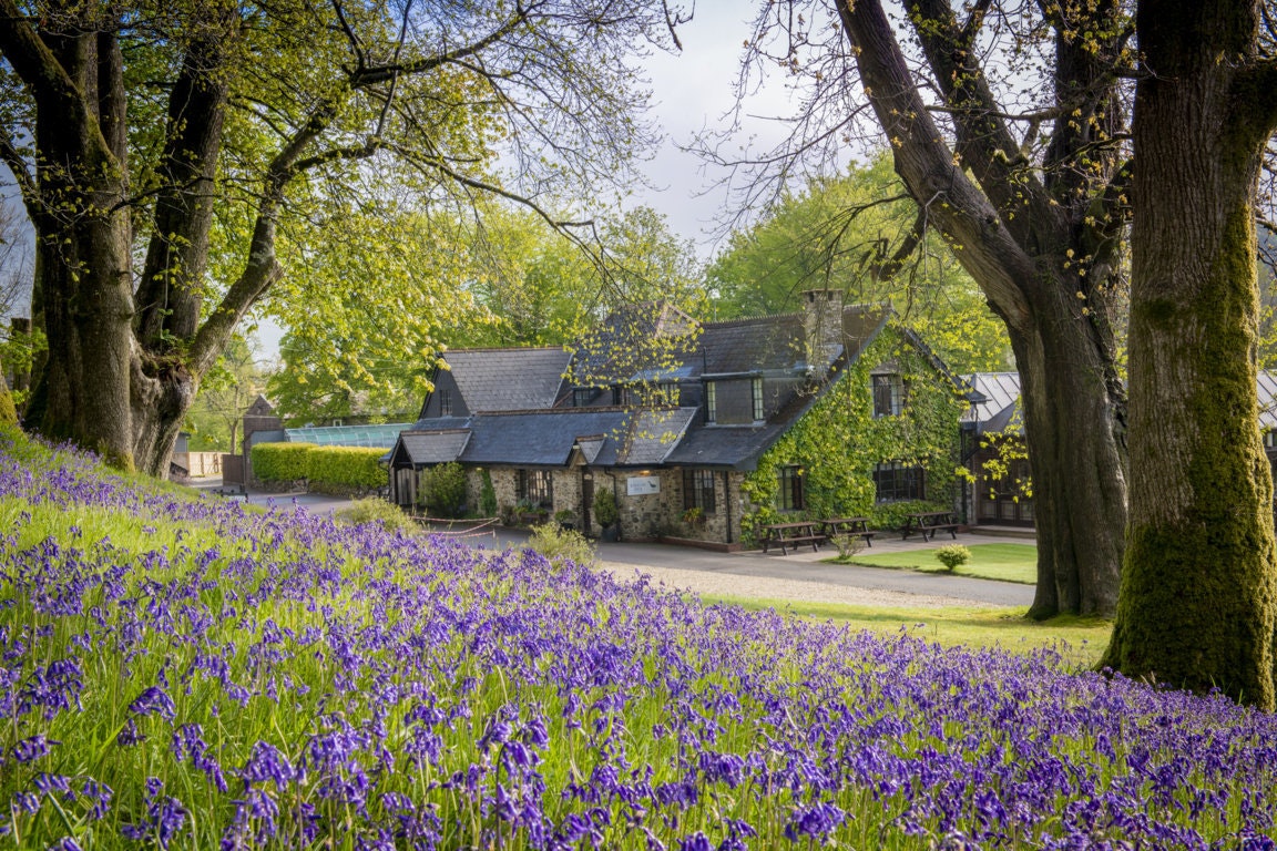 Capfun Camping Lakeview Manor - Blick auf das Rezeptionsgebäude und die Blumenwiese auf dem Campingplatz