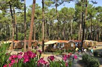 Capfun camping Landisland  - Mobilheime auf dem Campingplatz