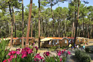 Capfun camping Landisland - Mobilheime auf dem Campingplatz