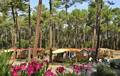 Capfun camping Landisland