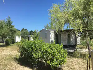 Reihen von Bungalows mit Terrasse und Hecken im Campingplatz-Grün, im Hintergrund weitere Gebäude und Bäume.