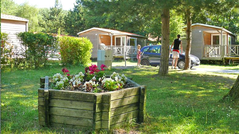 Caravaning l'Orée du Bois