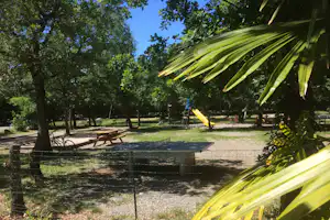 Campingplatz mit Wiese, Bäumen und Spielplatz: Schaukel und Rutsche im Hintergrund, Sitzbänke und Tisch auf dem Weg.