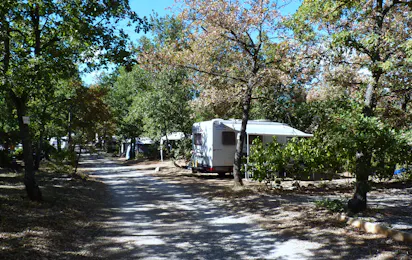 Flower Camping Jas du Moine