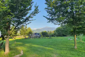 Grüne Campingwiese mit Bäumen, Weg und einem Wohnwagen im Hintergrund, dahinter Berge in der Ferne.