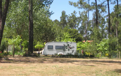 Parque de Campismo de Castelo do Bode