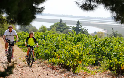 Camping Le Clapotis