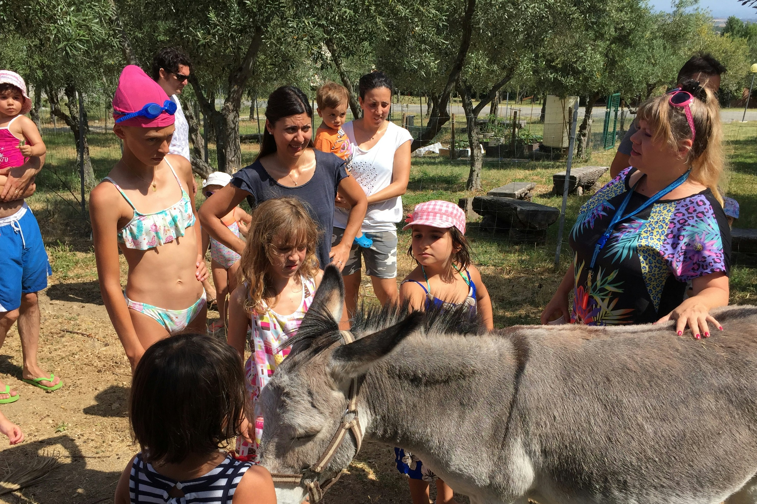 Familie streichelt einen Esel im Campingbereich, Kinder und Erwachsene am Zaun, im Hintergrund Bäume und ein Gehege.