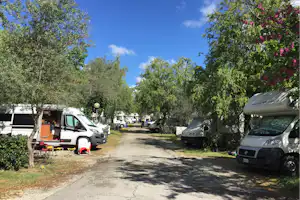 Campingplatz-Gasse mit Wohnmobilen und Autos, Bäume und Hecken entlang des Weges, Stellplätze nebeneinander.