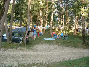 Campingplatz im Wald: Zelt und Picknicktisch neben Auto, Kinder spielen auf der Wiese zwischen Bäumen.