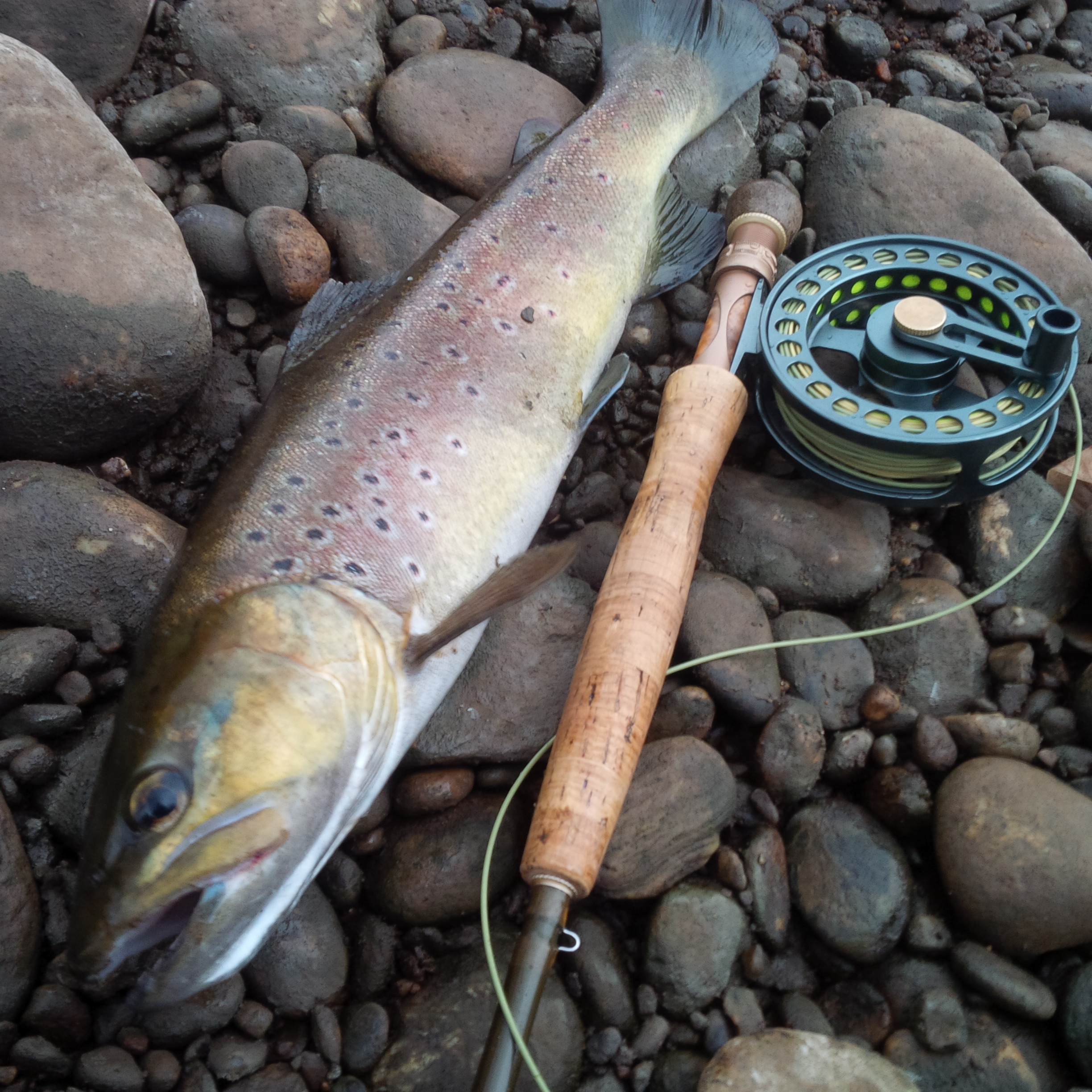 Chalets Mirandol Dordogne