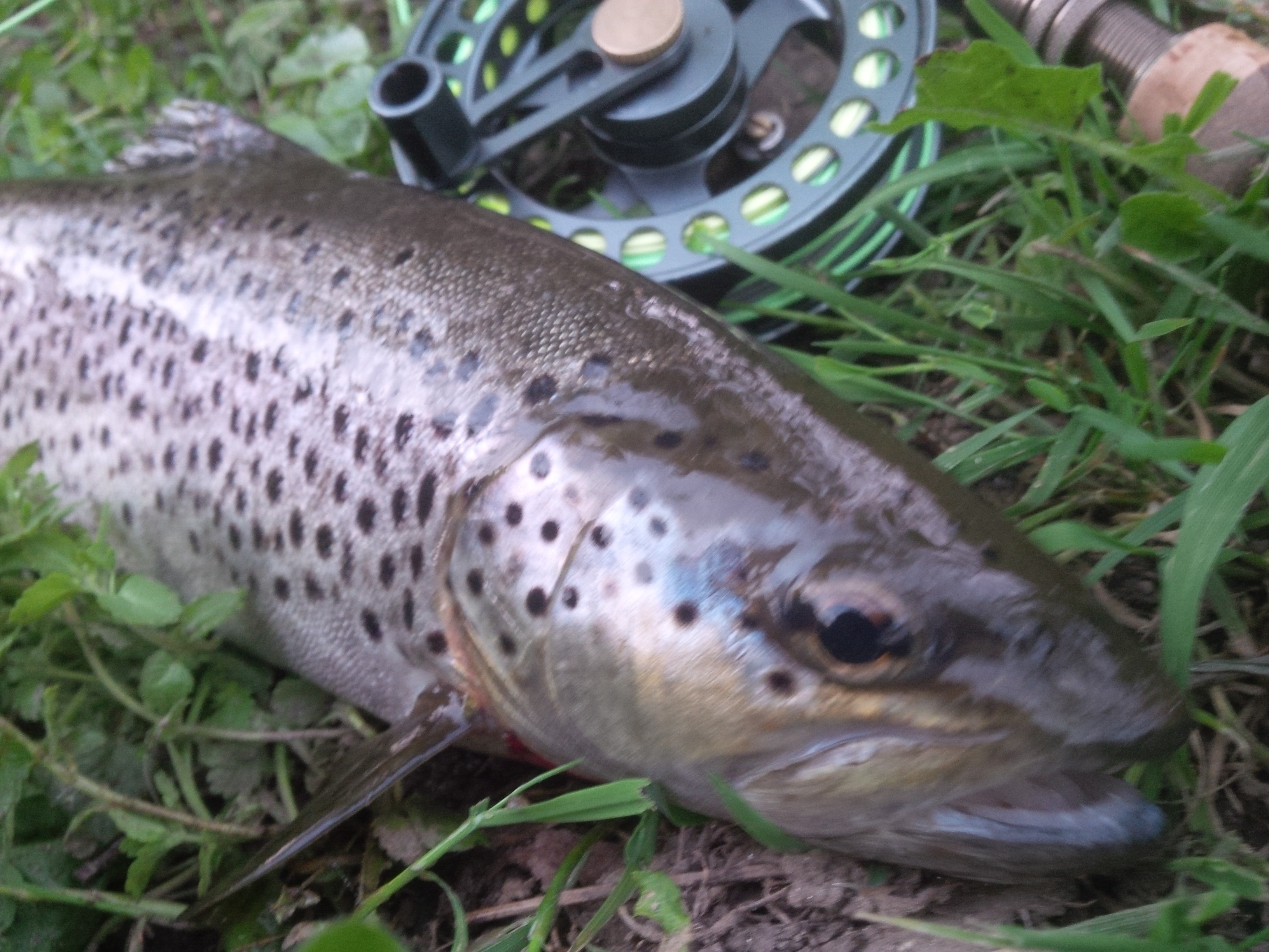 Chalets Mirandol Dordogne