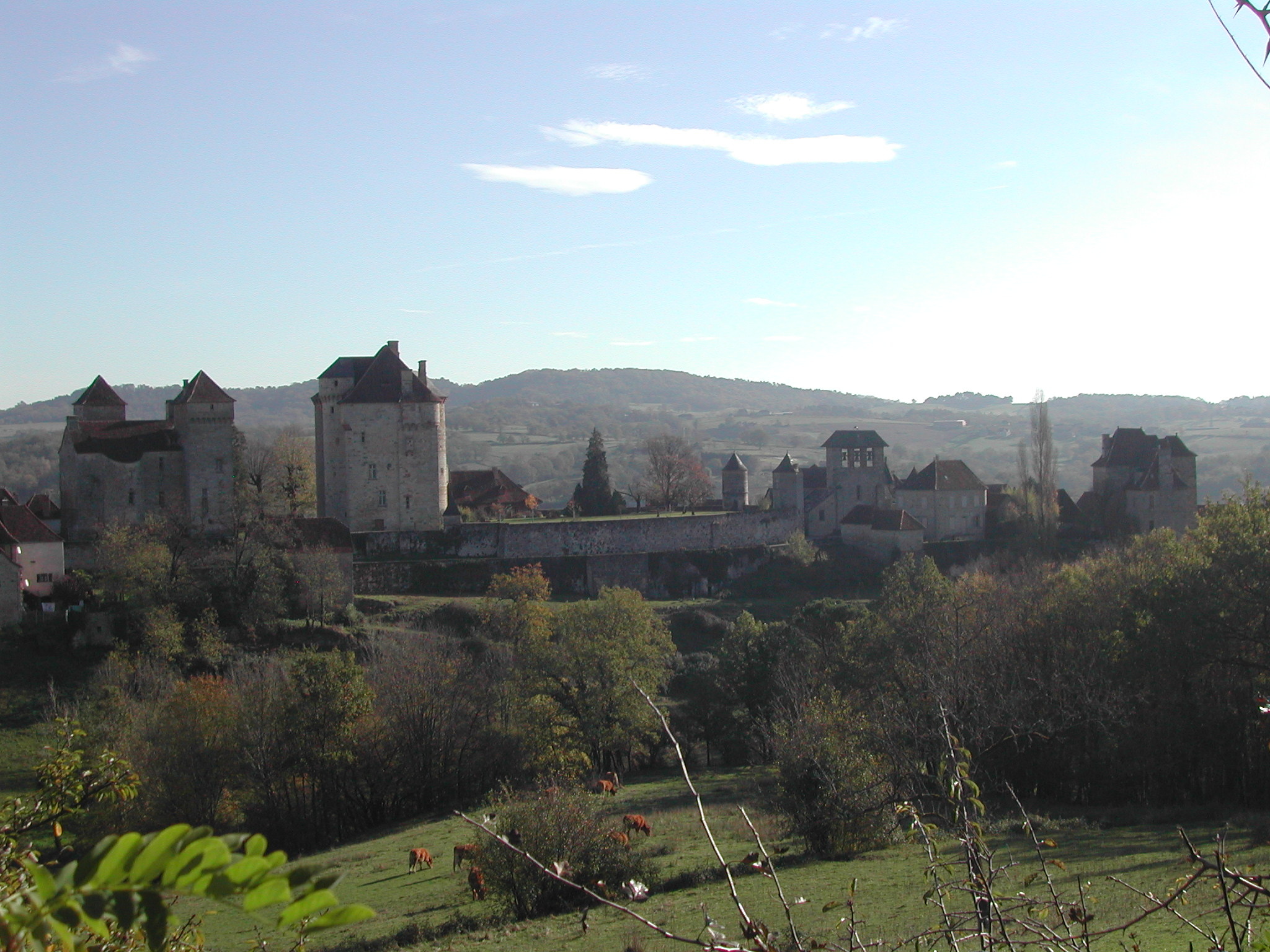 Blick auf ein Dorf im grünen Tal mit Häusern, Bäumen und Hügeln in der Ferne.
