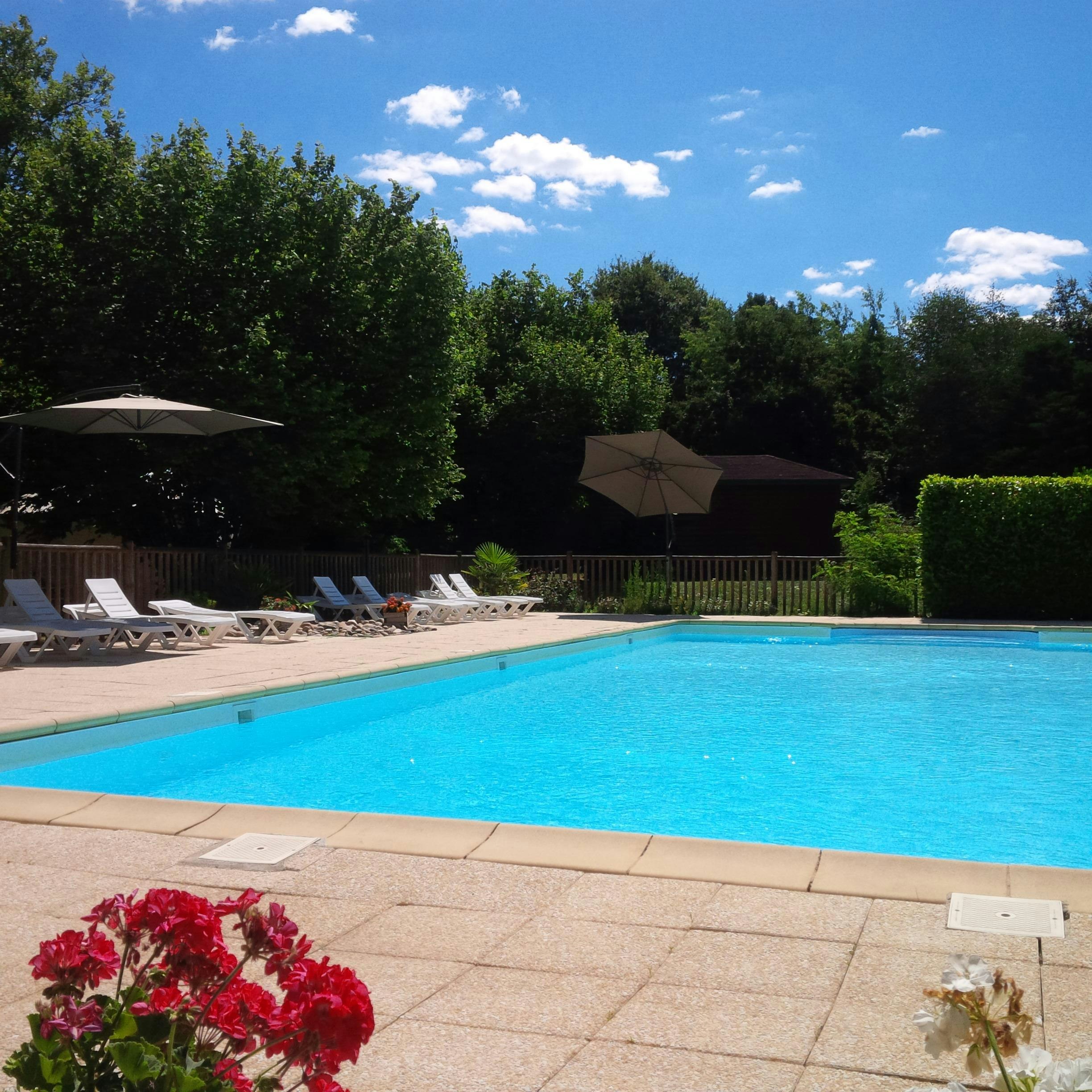 Blauer Camping-Pool mit Liegen, Sonnenschirmen und gepflasterter Terrasse, umgeben von Hecken und Bäumen.