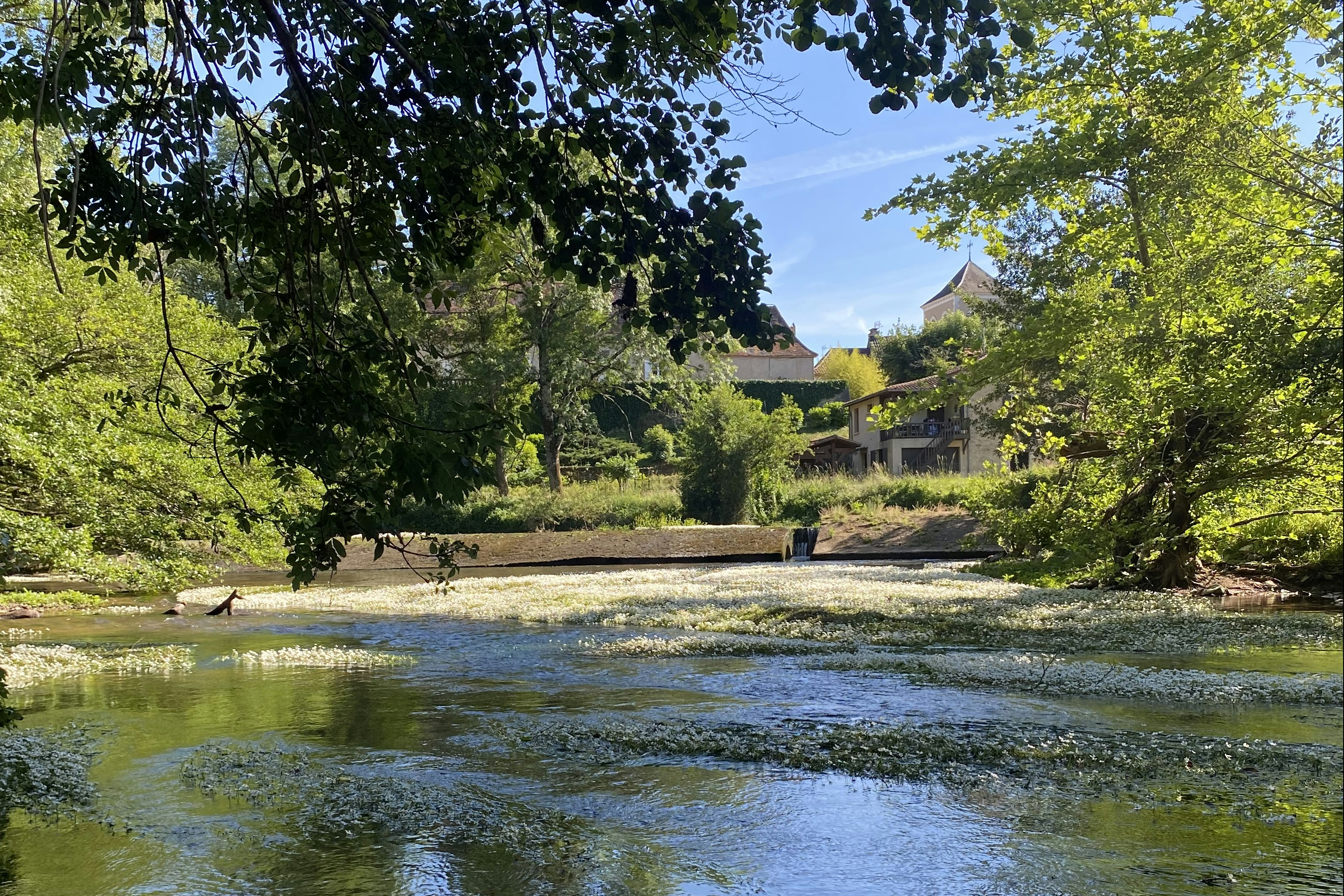 Château La Barge - Fluss auf dem Campingplatz