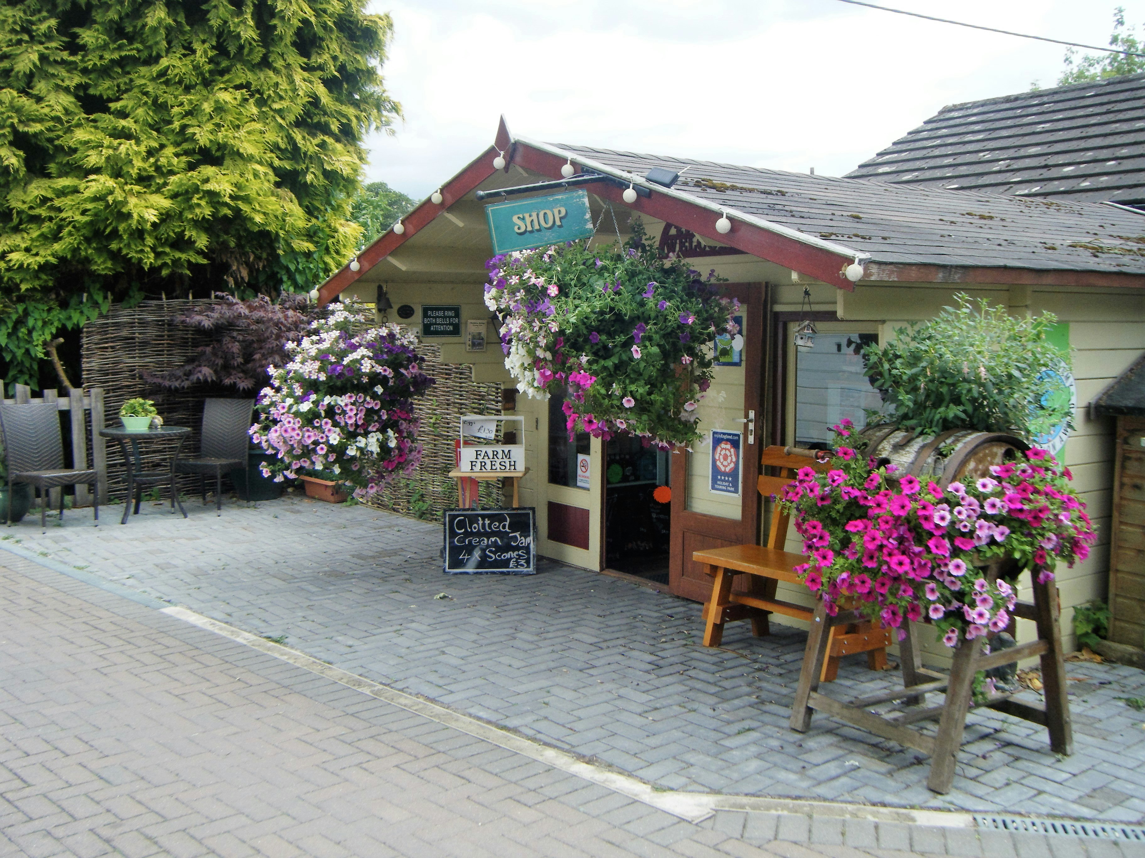 Cheddar Bridge Touring Park