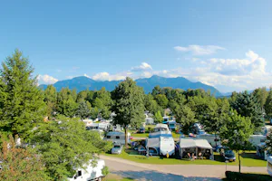 Chiemsee-Camping Rödlgries - Stellplätze im Schatten unter Bäumen am Chiemsee auf dem Campingplatz mit Alpenblick