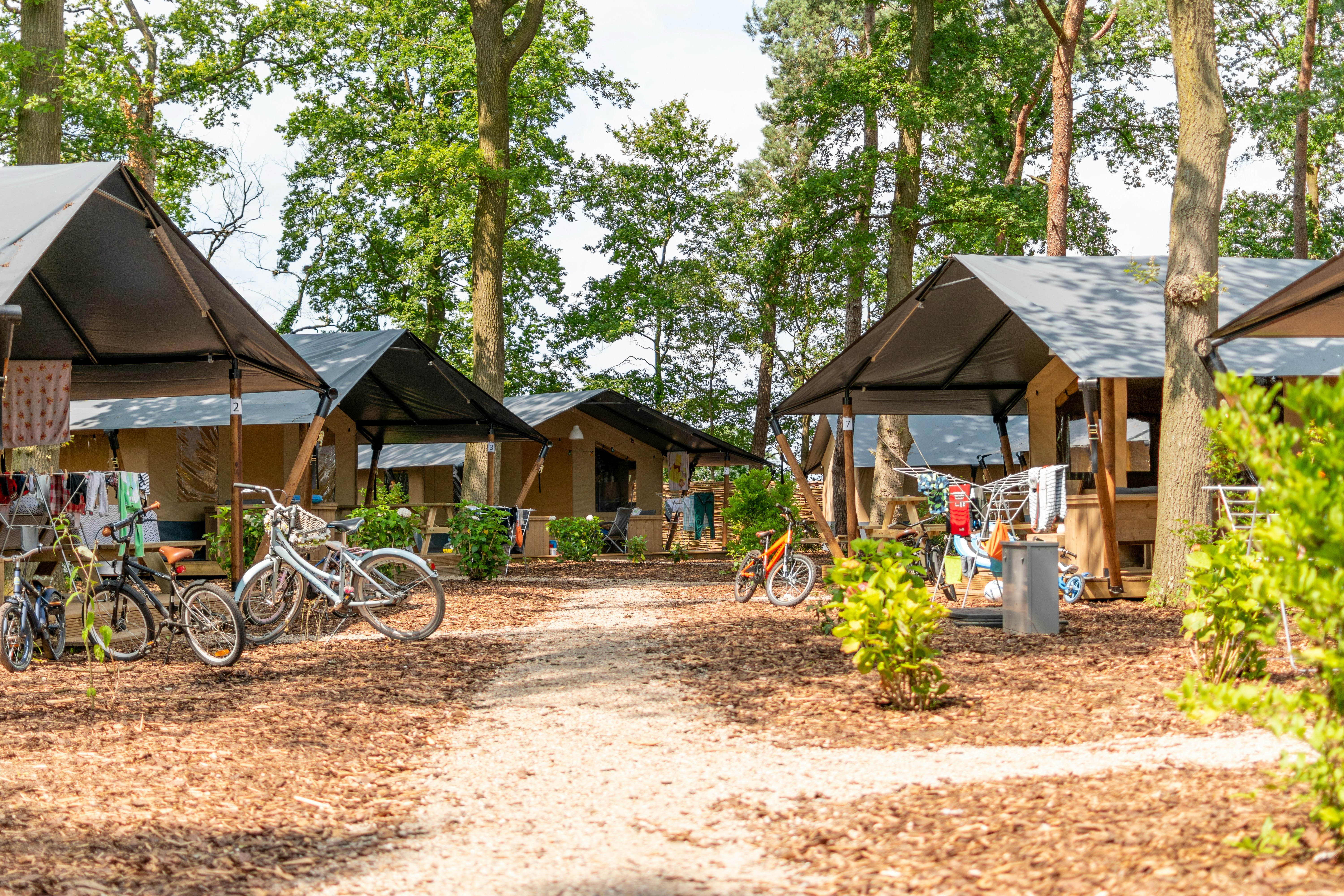 Chr. Vakantiepark en Conferentiecentrum De Betteld - Mobilheime im Schatten der Bäume