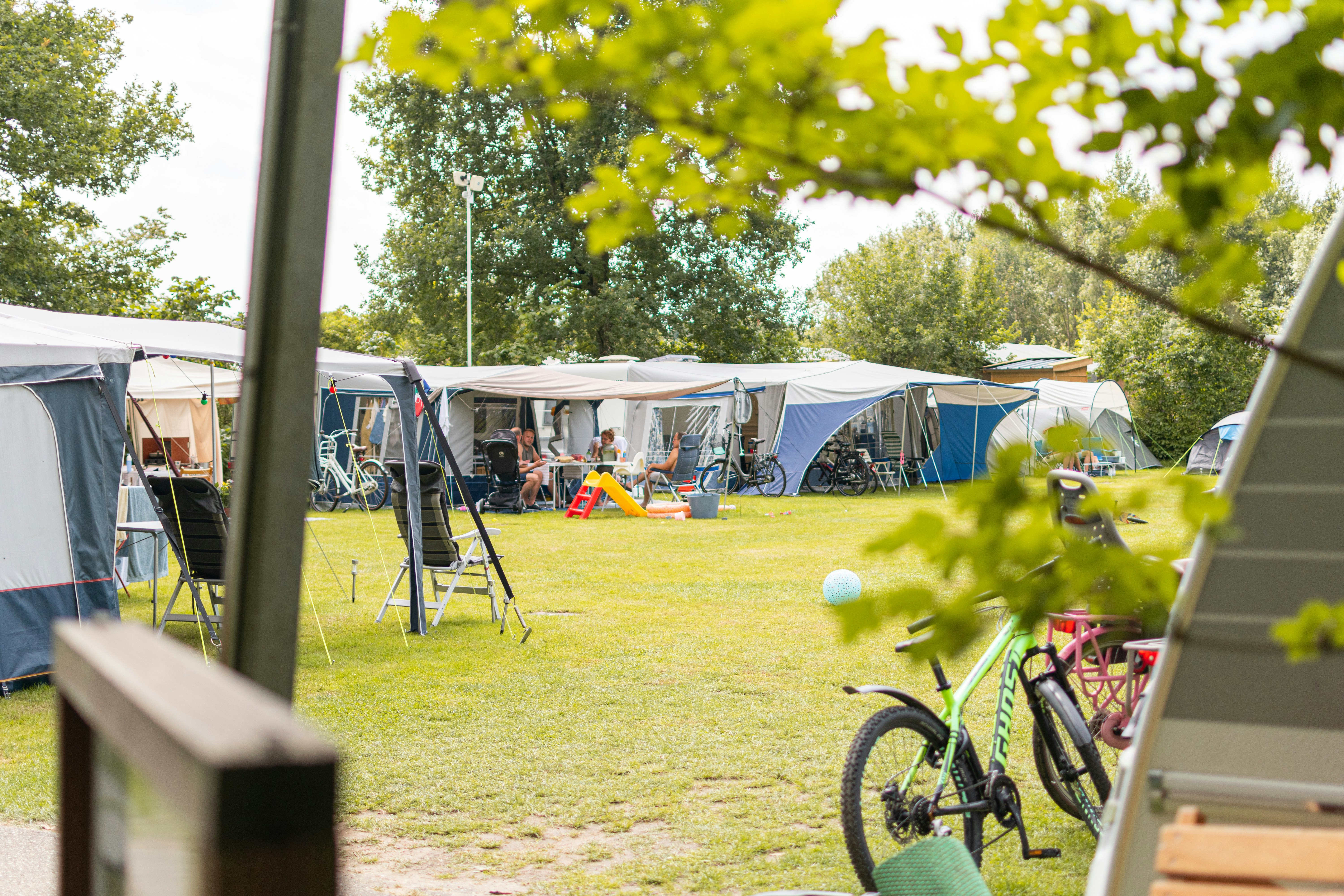 Chr. Vakantiepark en Conferentiecentrum De Betteld - Wohnmobil- und  Wohnwagenstellplätze auf der Wiese
