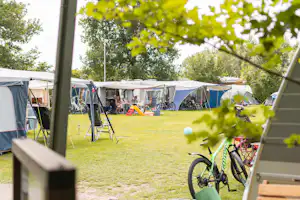 Chr. Vakantiepark en Conferentiecentrum De Betteld - Wohnmobil- und Wohnwagenstellplätze auf der Wiese